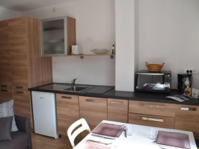 Studio avec grande terrasse face aux pistes, plein sud, animaux acceptés - FR-1-266-196 Montgenevre